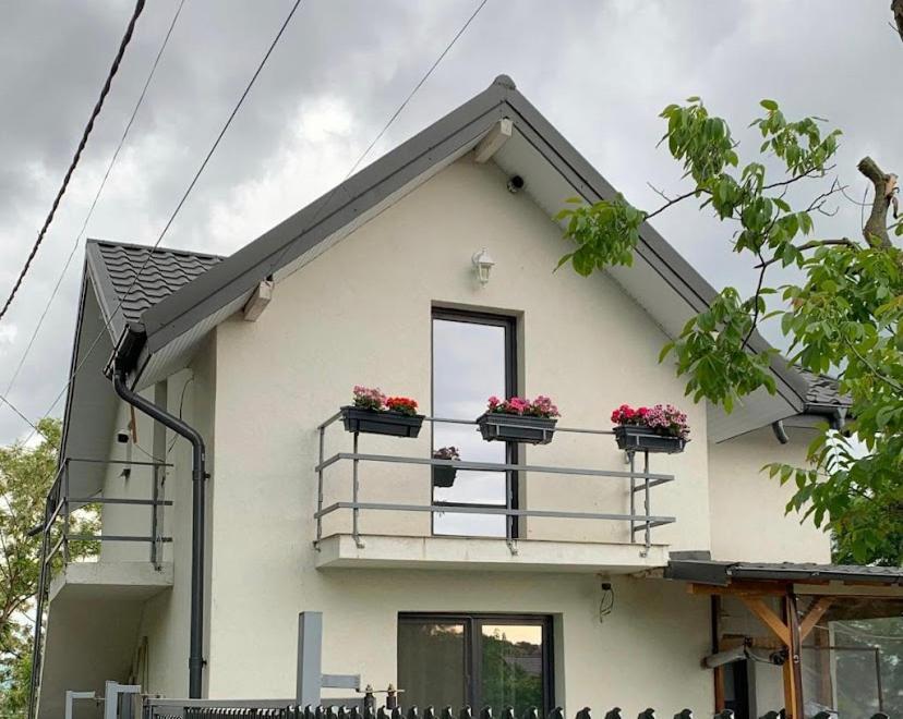 Anastasia'S Villa Iasi Bagian luar foto